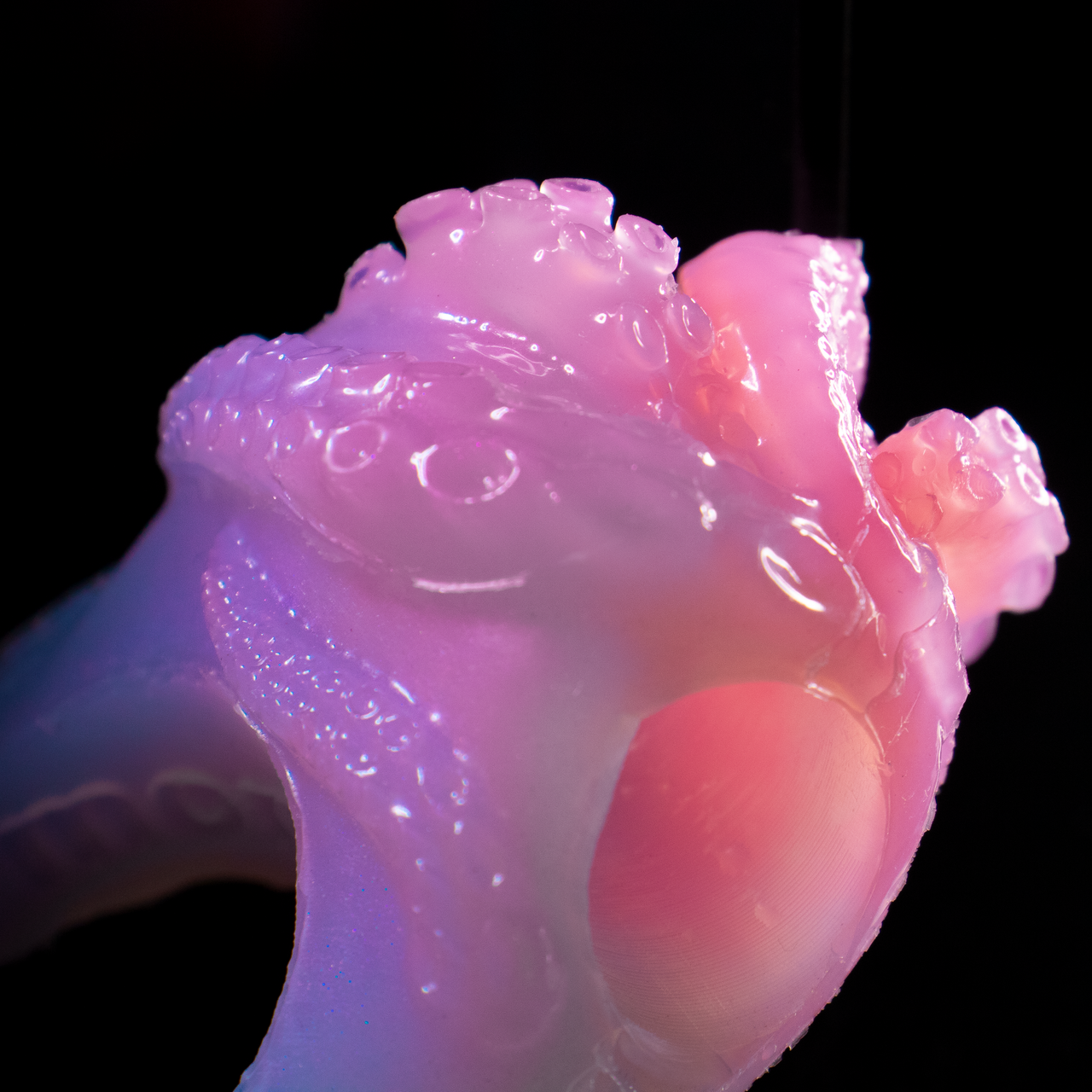 Anel Peniano Silicone Kraken